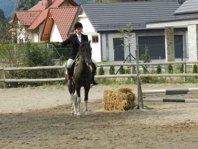 Babie Lato 2016